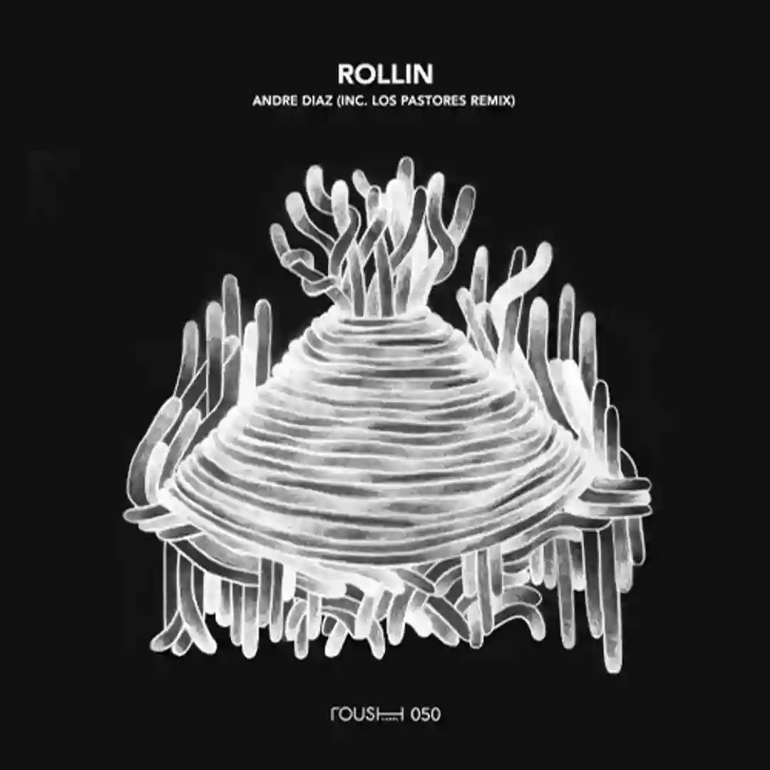 Rollin (Original Mix) cover
