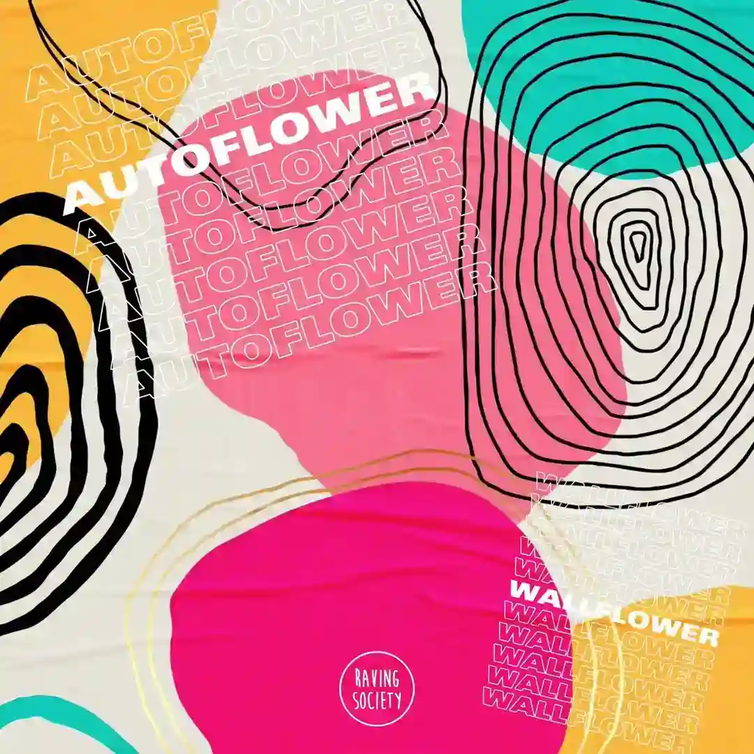 Wallflower cover