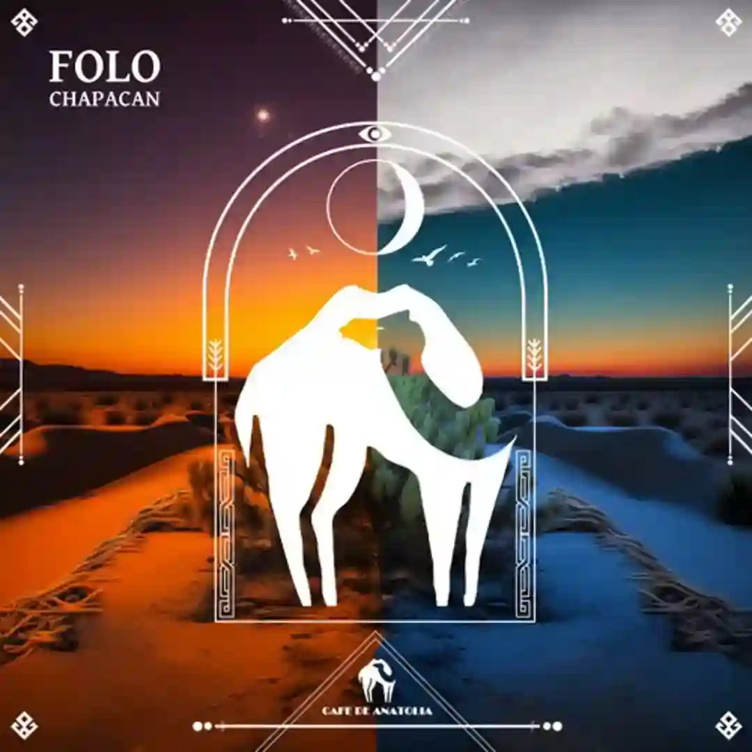 Folo cover