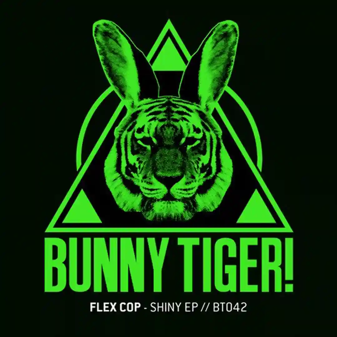 Shiny (Original Mix) cover