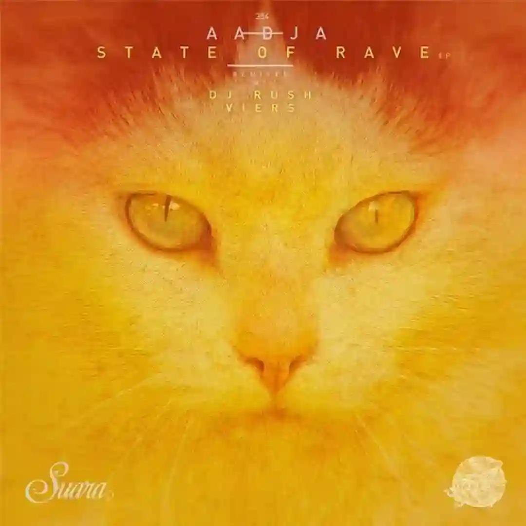 State Of Rave (Viers Remix) cover
