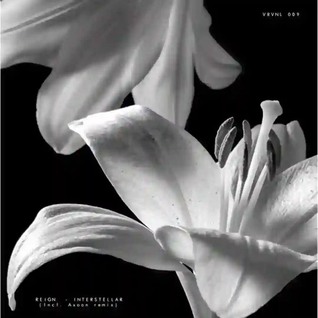 Nexus (Original Mix) cover