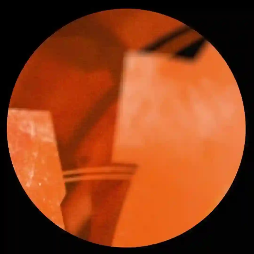 D2 (Original Mix) cover