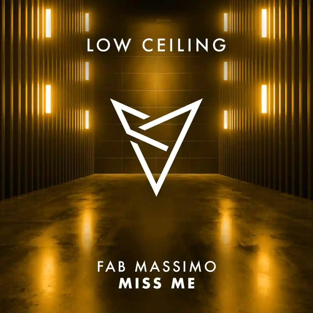 MISS ME (Extended Mix) cover