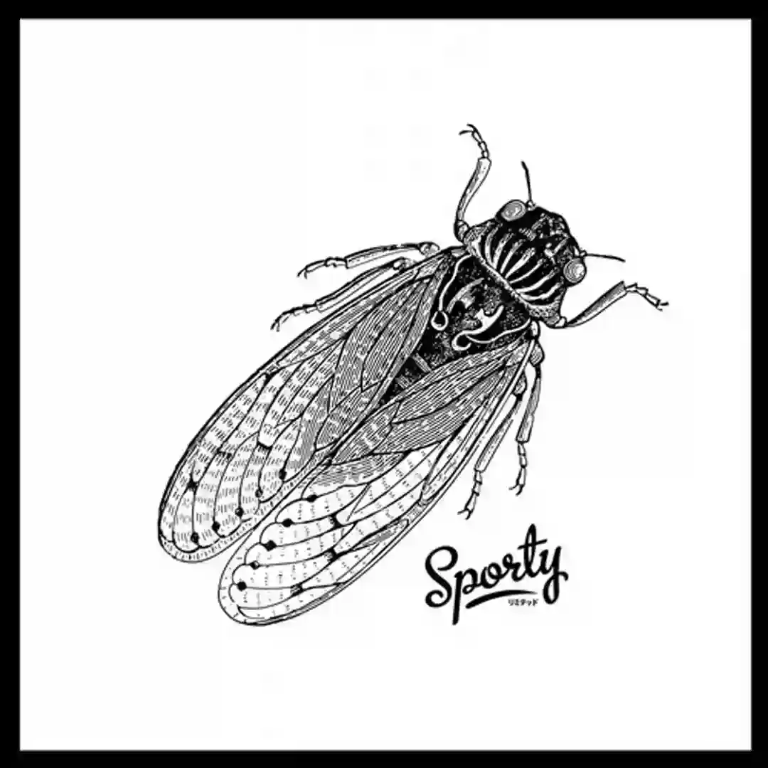 Rejected 2 (Original Mix) cover