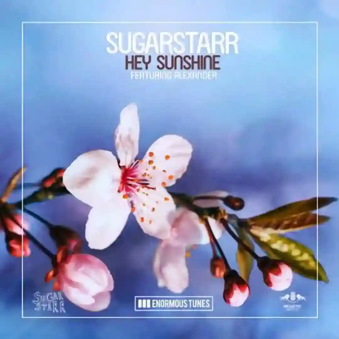 Hey Sunshine (Original Mix) cover