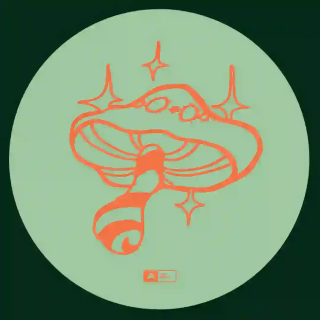Faerie Stomp cover