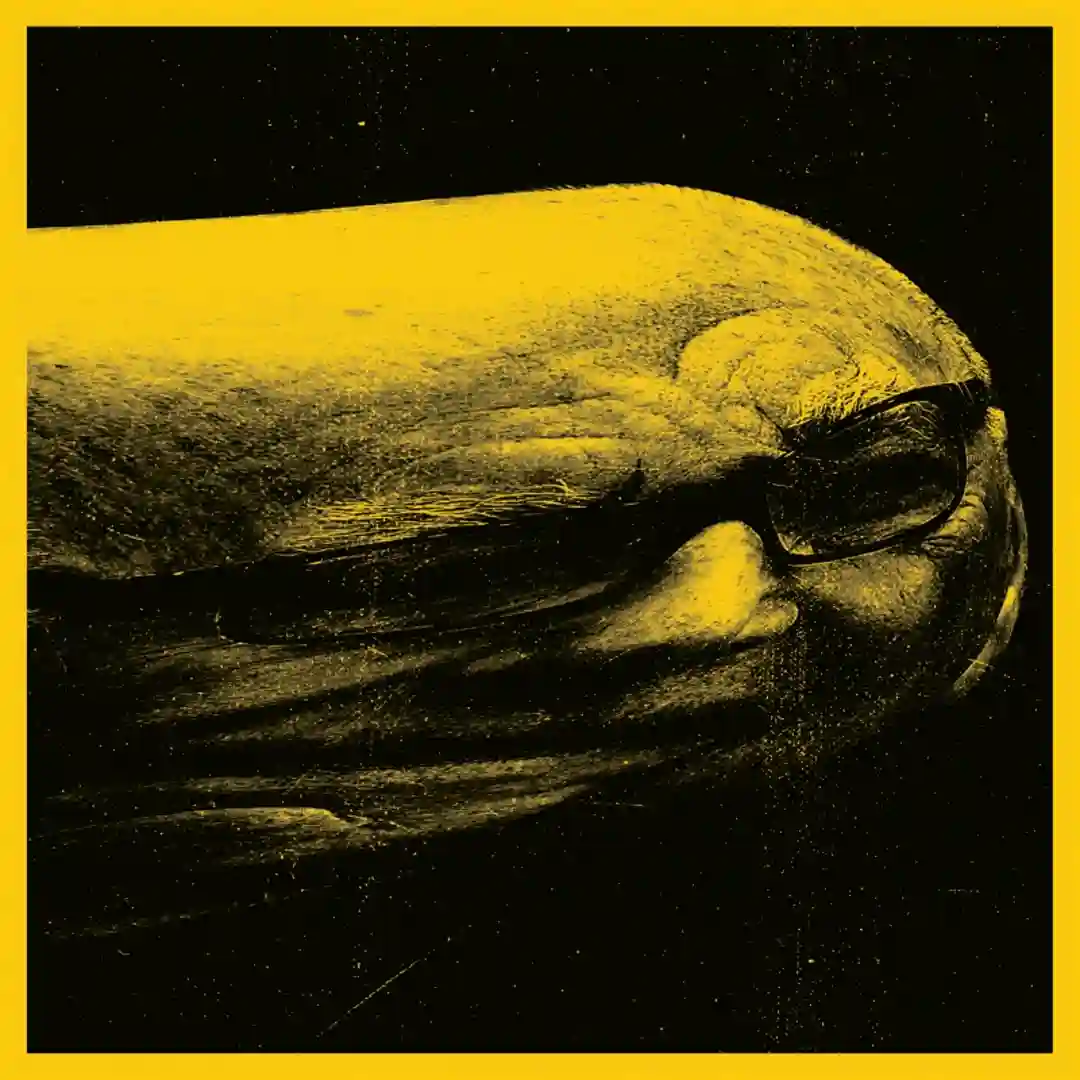Charlatan cover