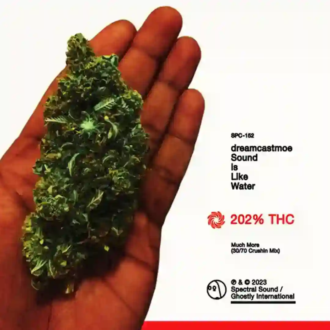 Much More (30/70 Crushin Mix) cover