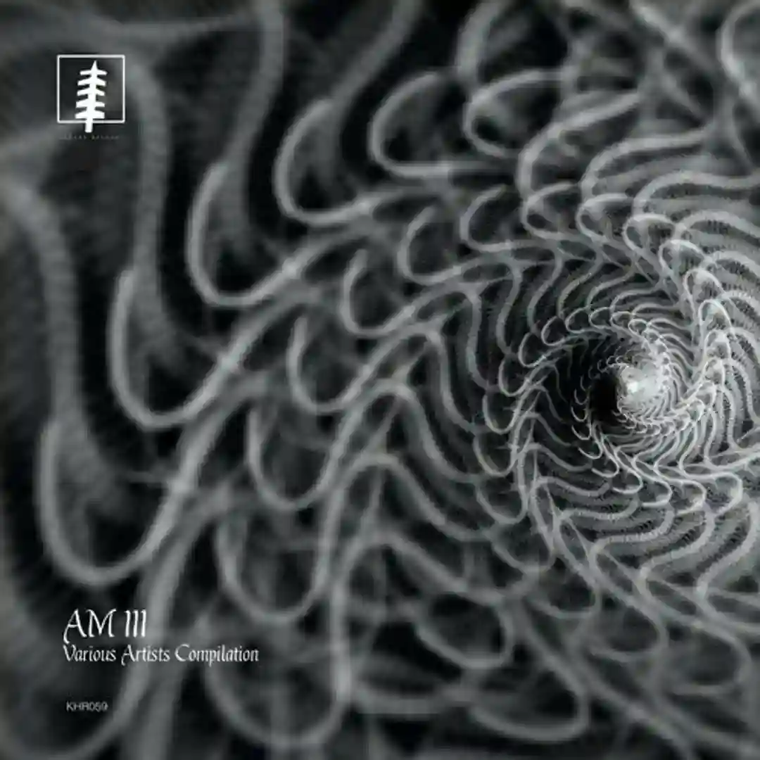 Into The Realm (Original Mix) cover