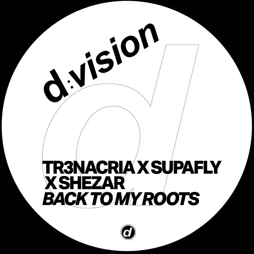 Going Back to my Roots (Extended Mix) cover
