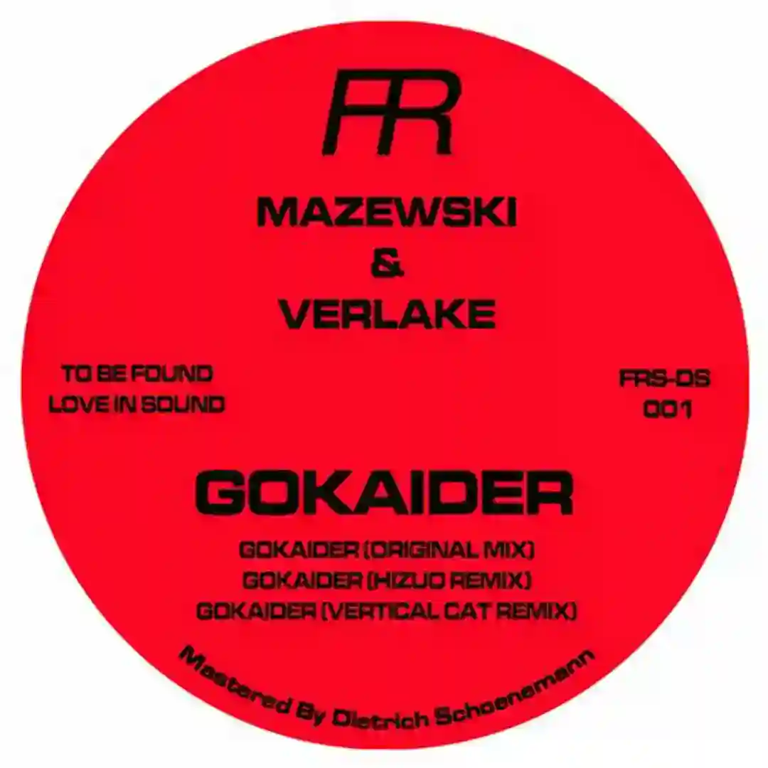 Gokaider (Vertical Cat Remix) cover