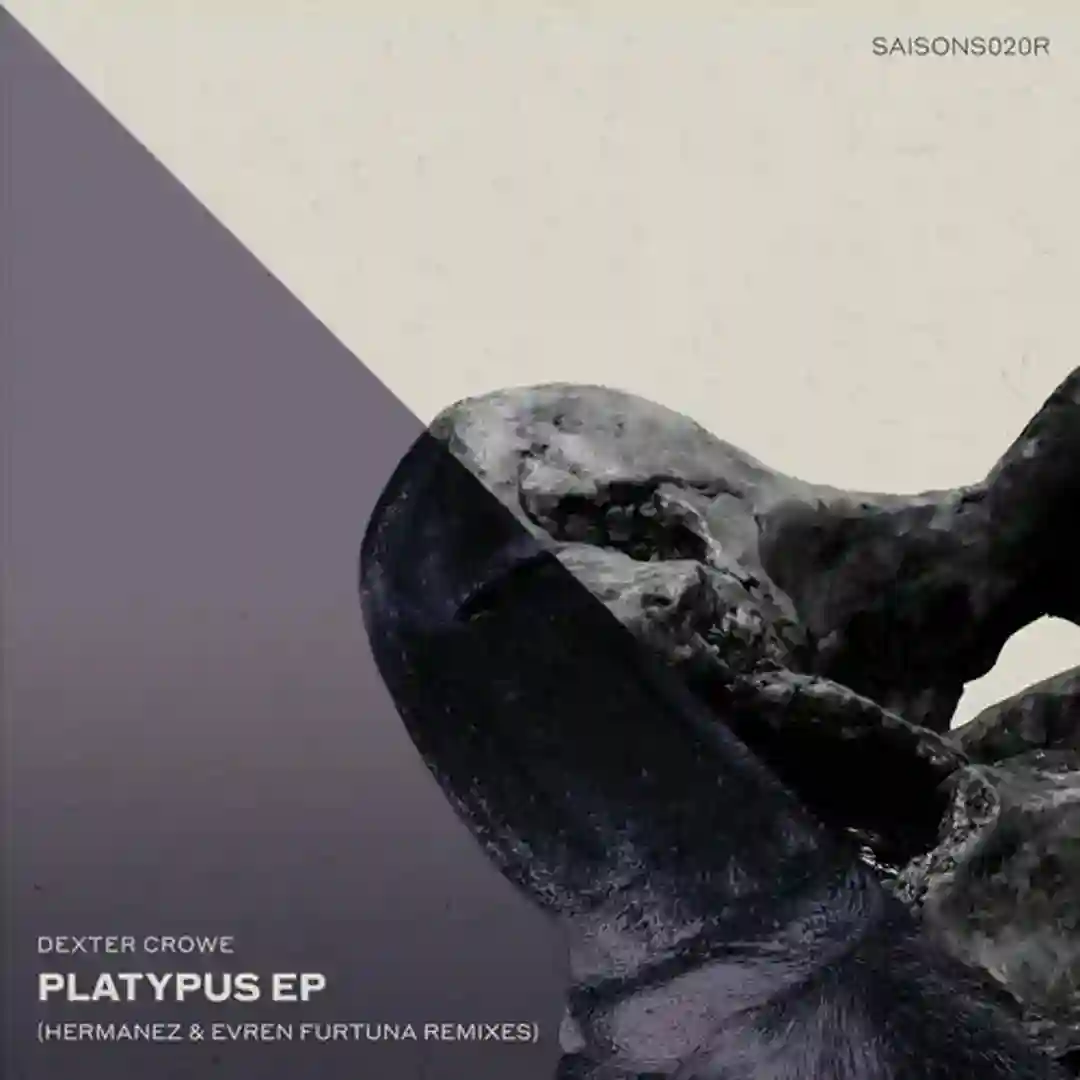 Platypus Remixes cover