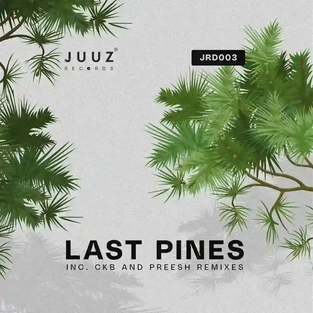Suggestion (Original Mix) cover