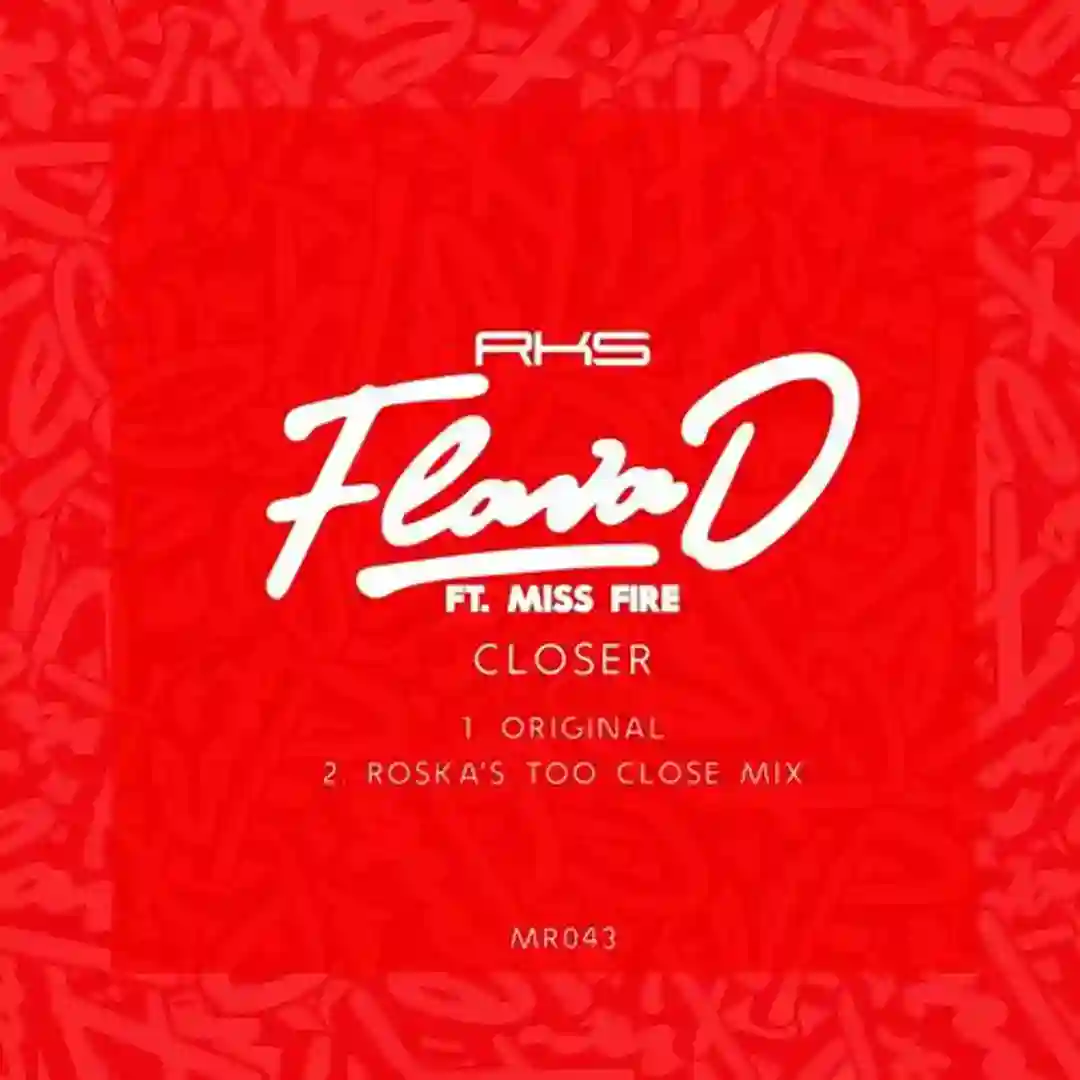 Closer cover