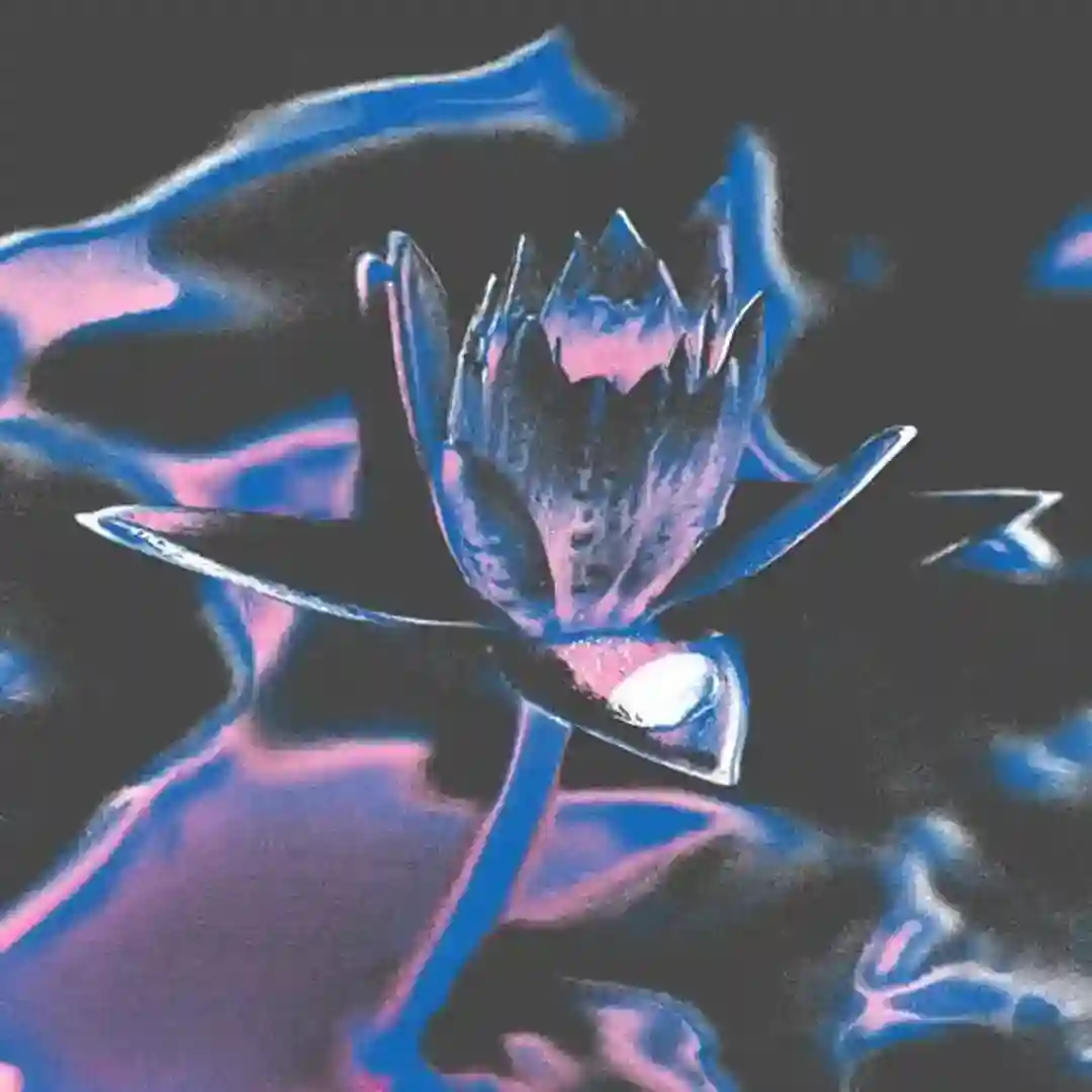 Lotus (Original Mix) cover