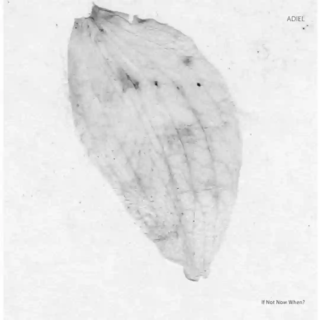 If Not Now When? cover
