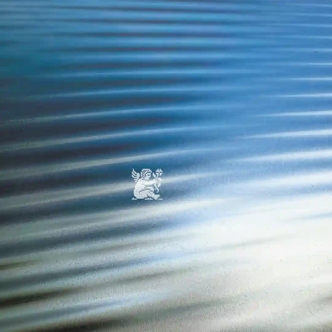 Swell:Shrink (Original Mix) cover