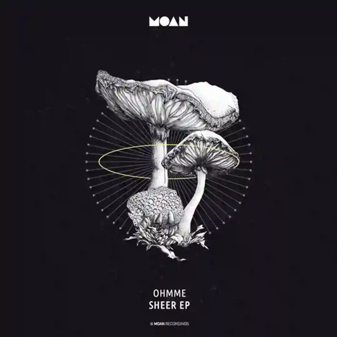 Sheer EP cover