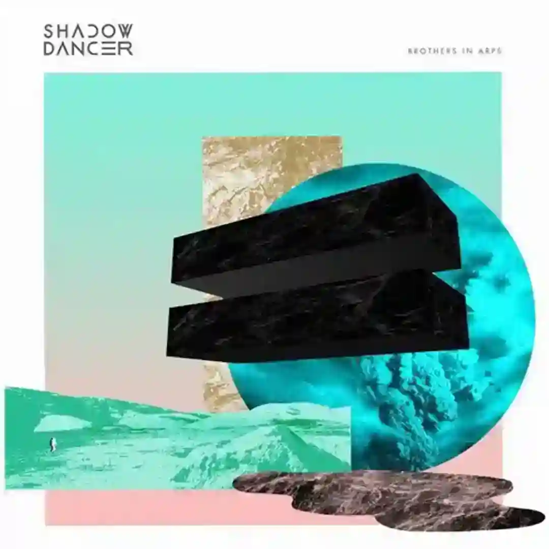 Shake feat. David AKZ (The Hacker Remix) cover