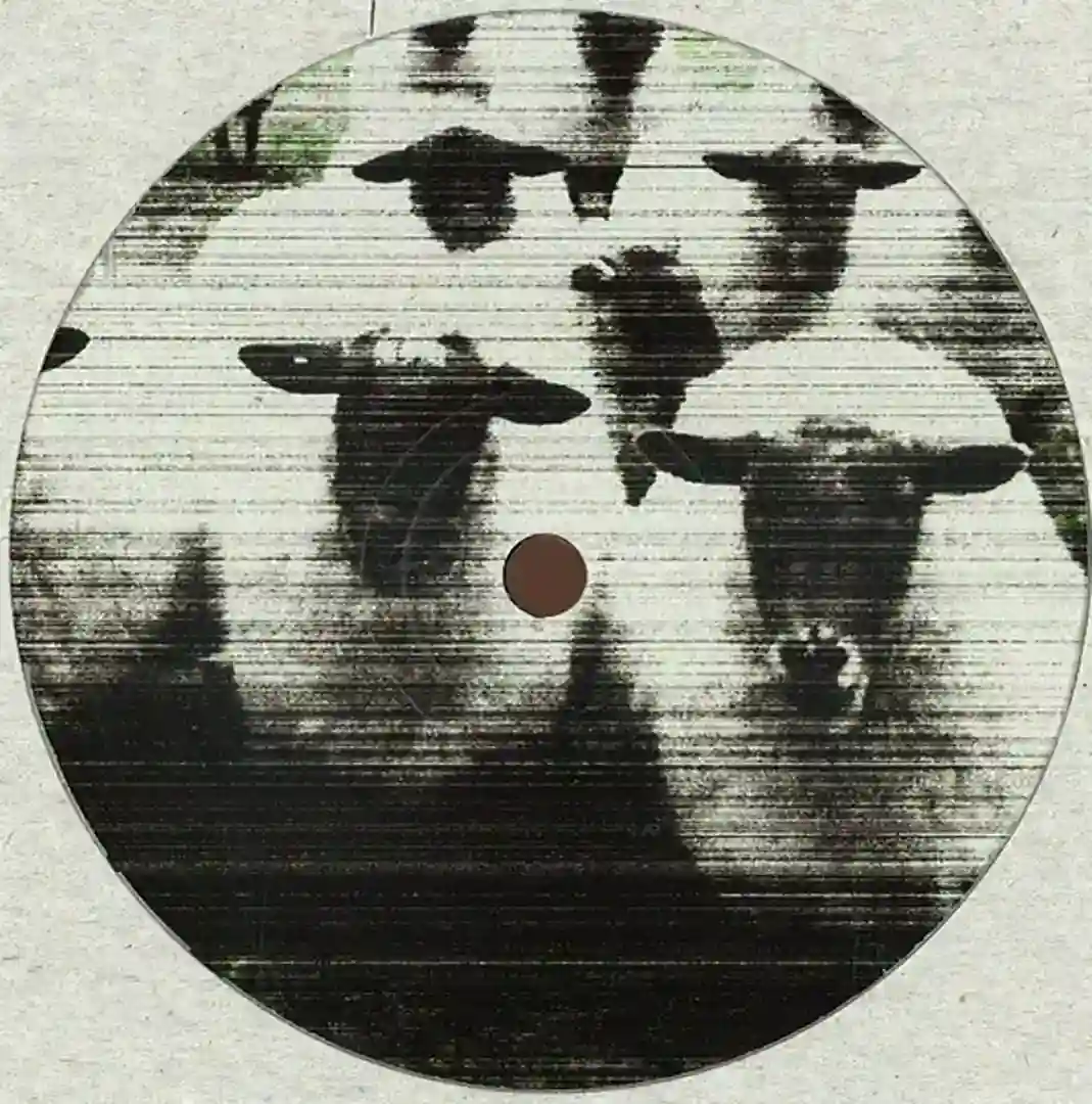 Untitled 3 cover