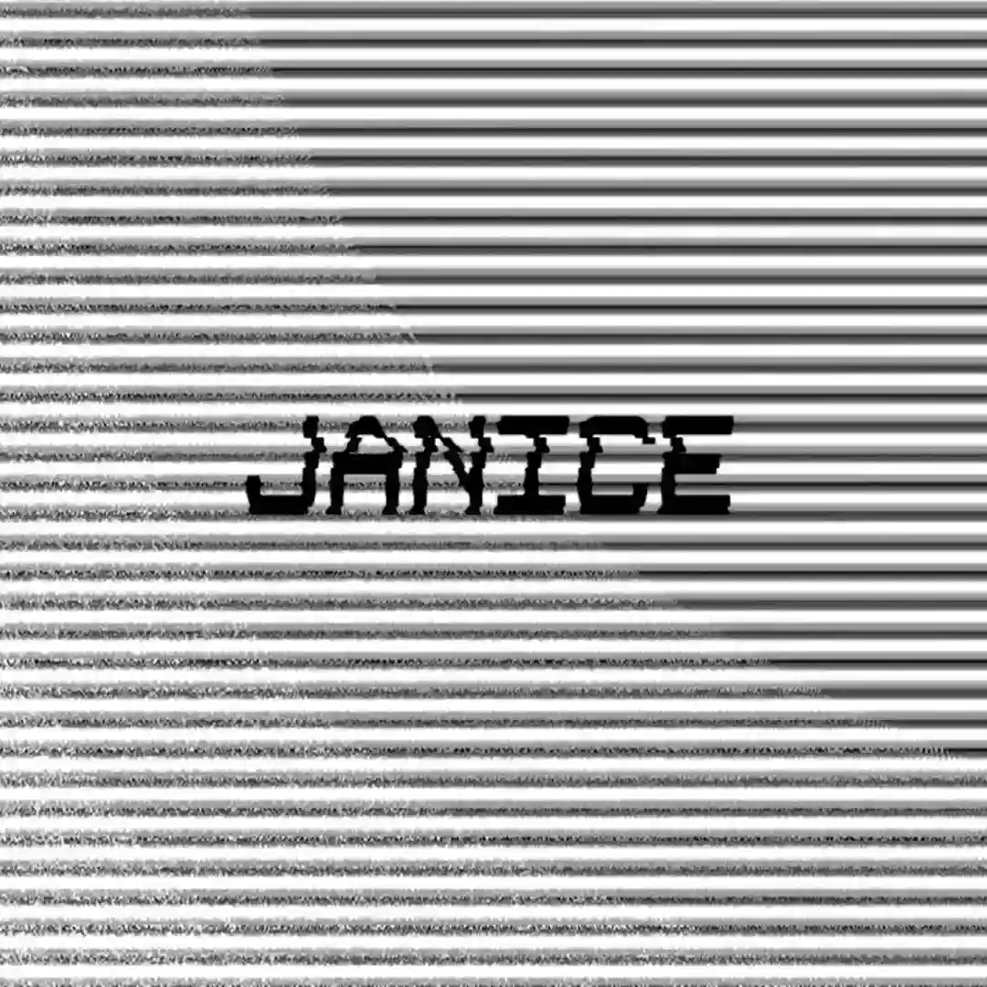 b2 [Janice2] cover