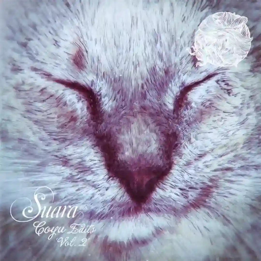 Coyu Edits Vol. 2 cover
