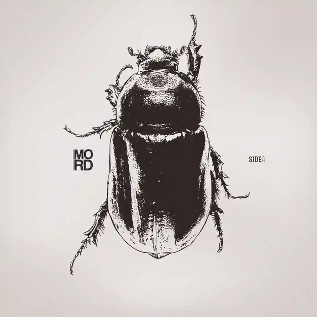 Anomalies EP cover