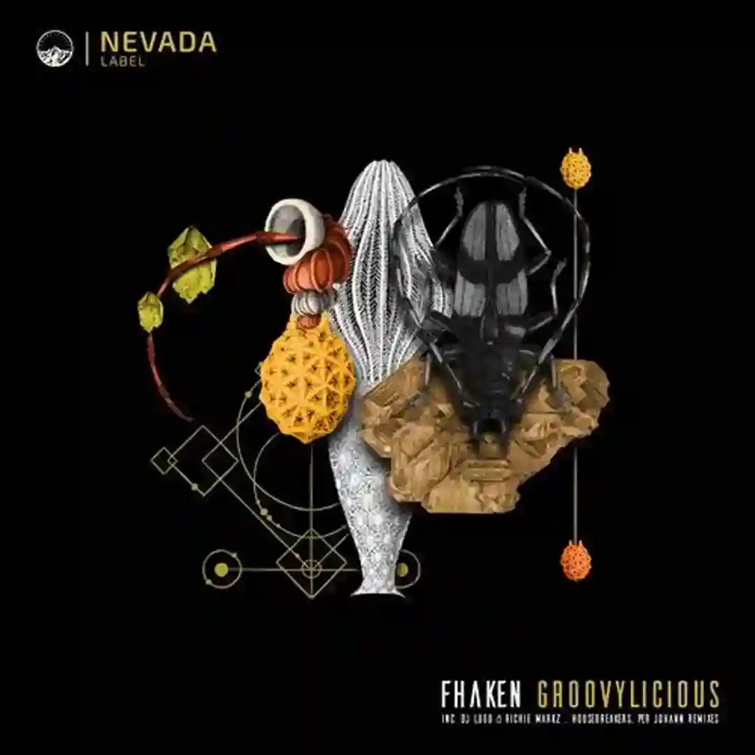Groovylicious cover
