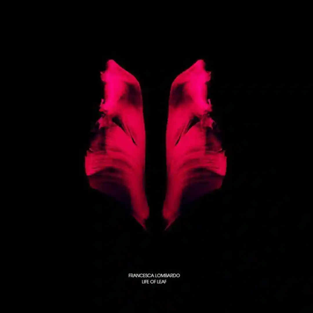 Kidding (Original Mix) cover