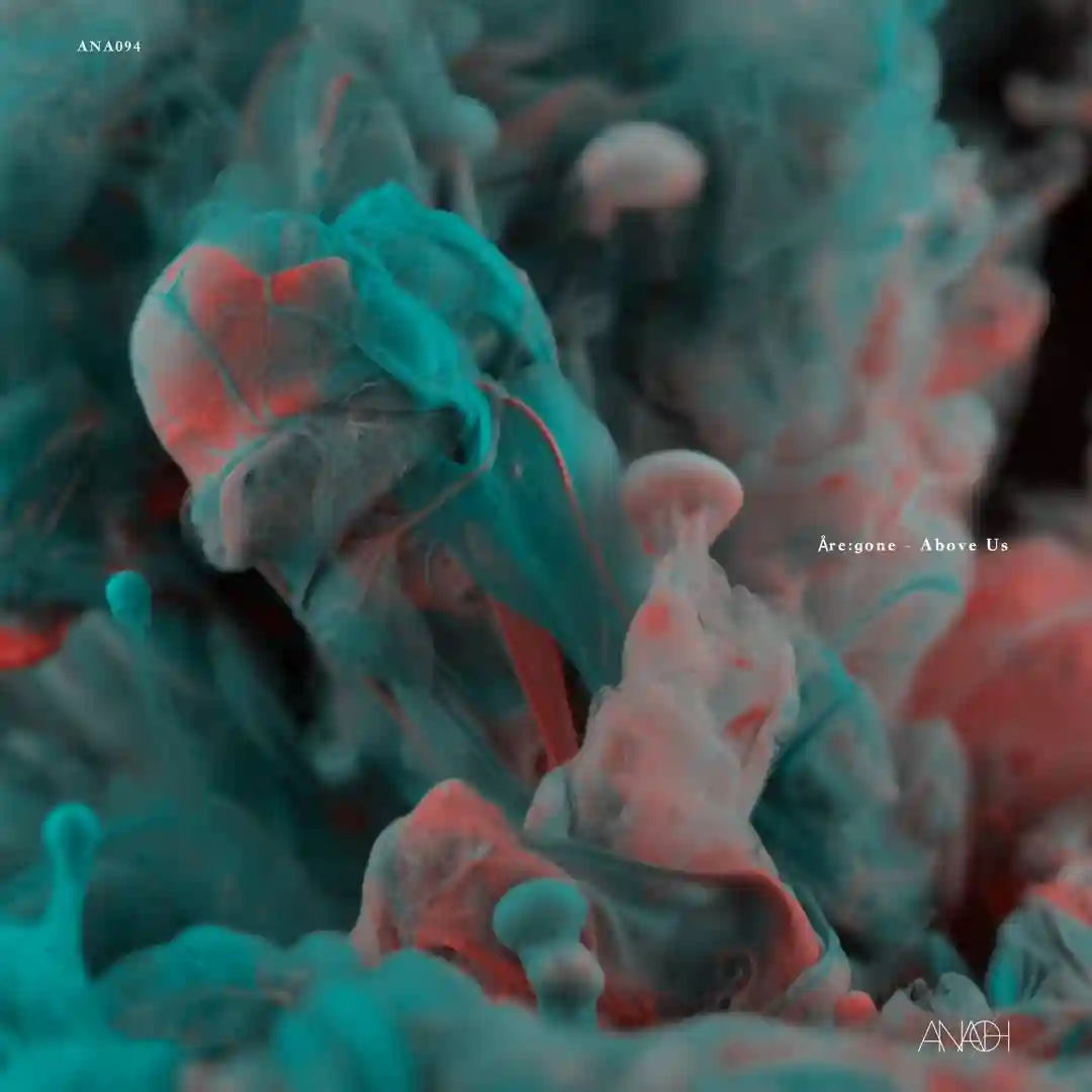 Habana (Original Mix) cover