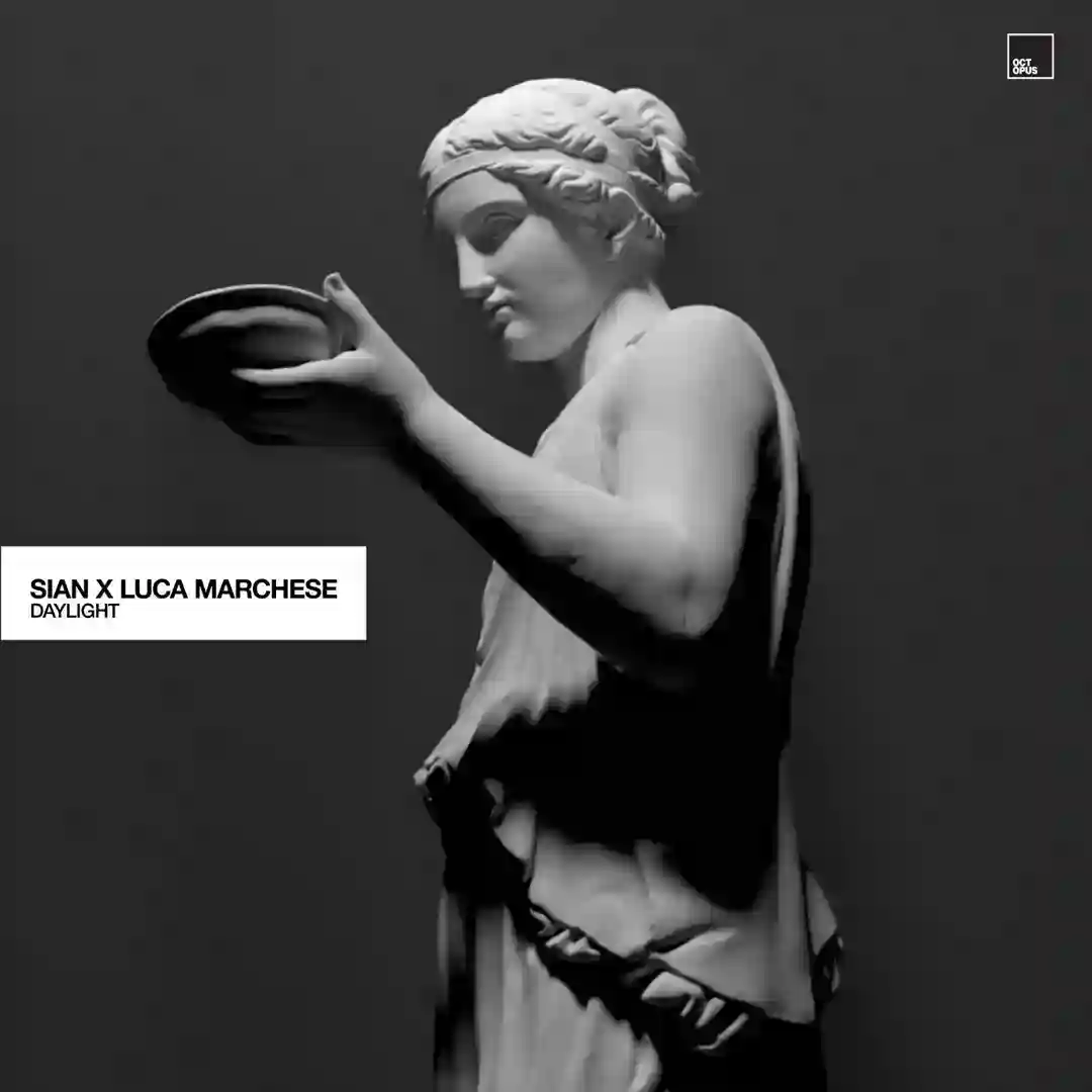 Daylight cover