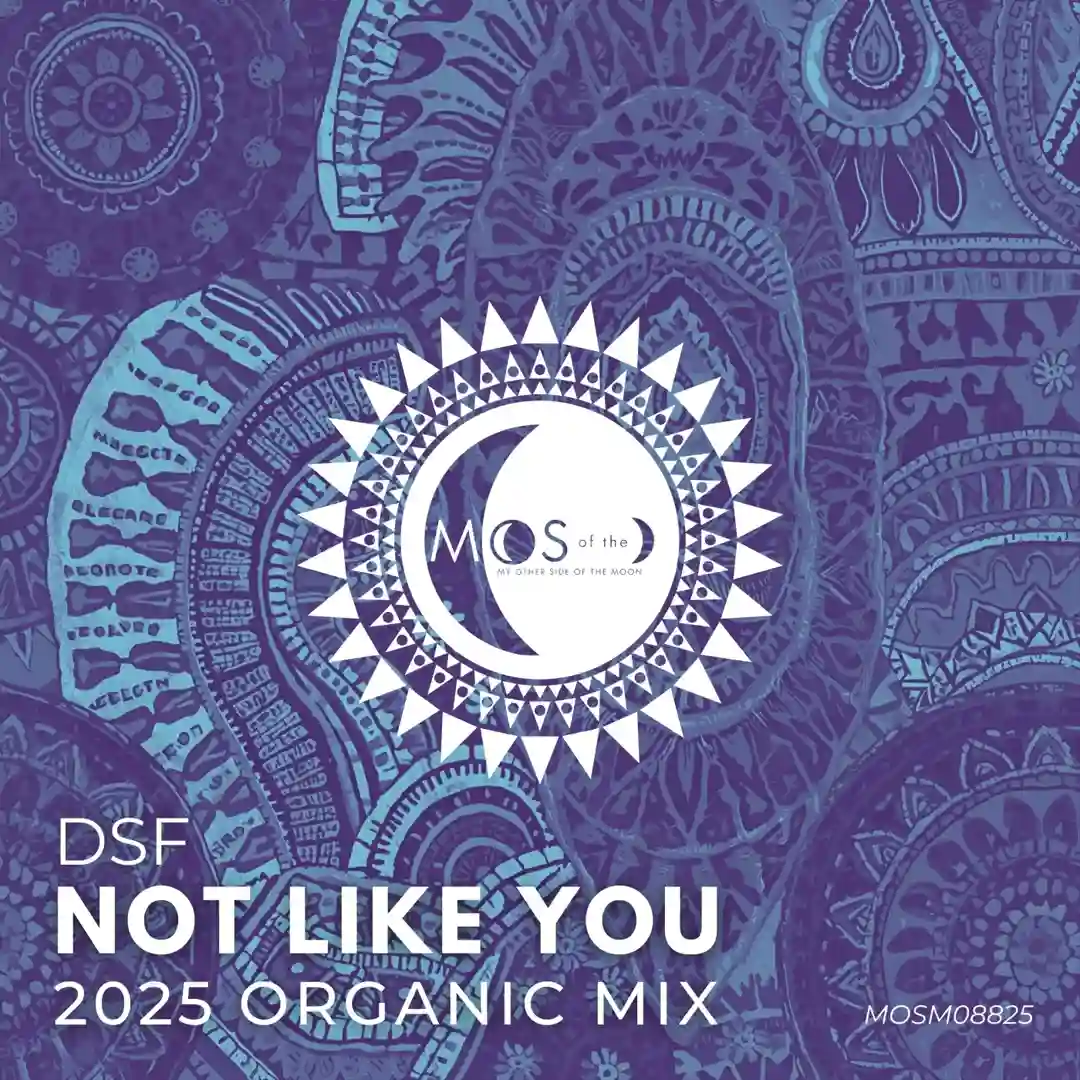 Not Like You (2025 Organic Mix) cover