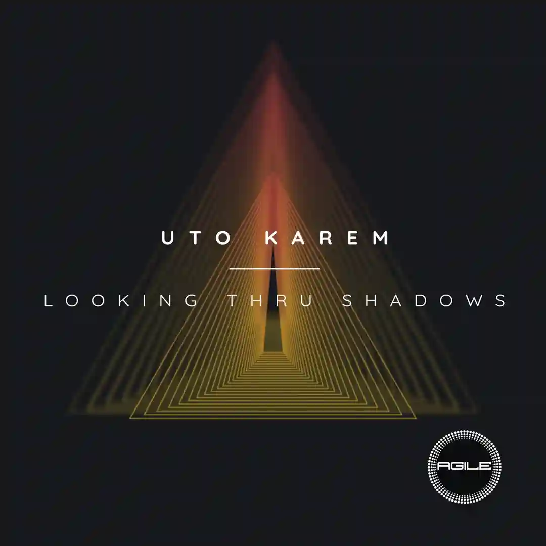 Looking Thru Shadows cover