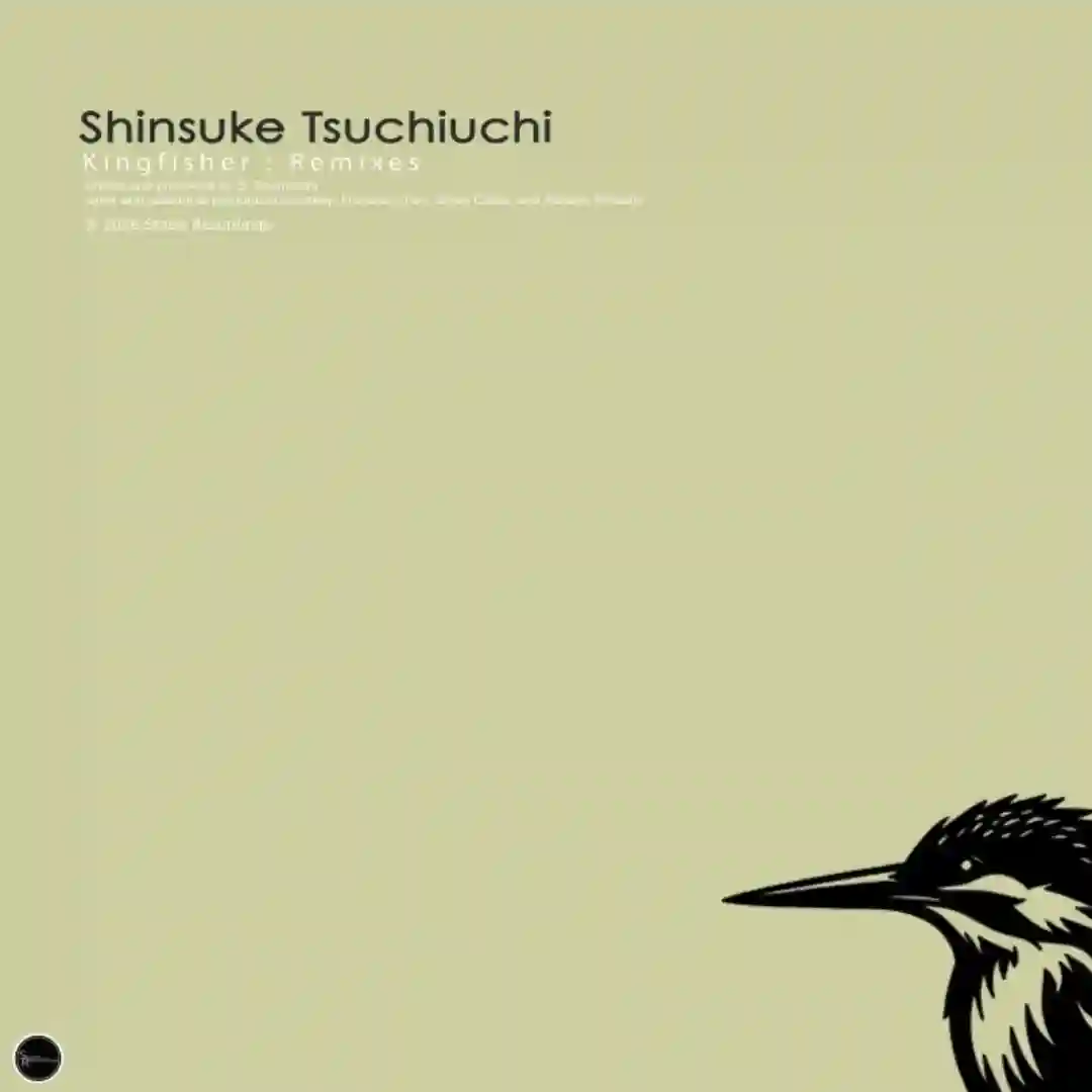 Bunting (Adriano Mirabile Remix) cover