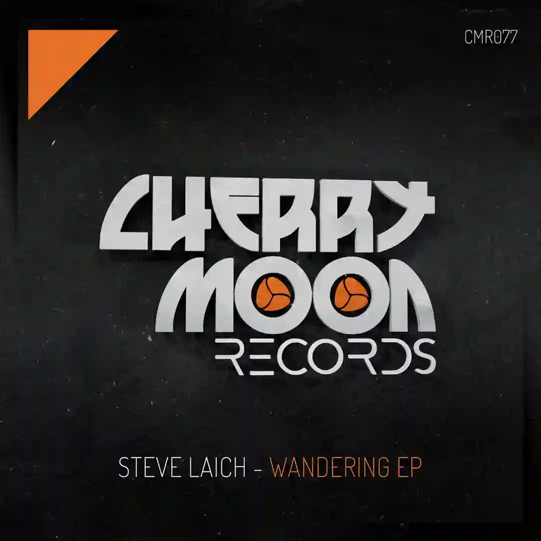 Wandering (Original Mix) cover