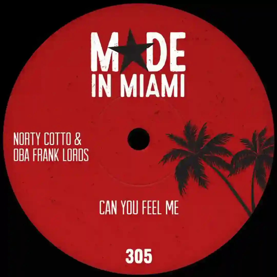 Can You Feel Me (Original Mix) cover