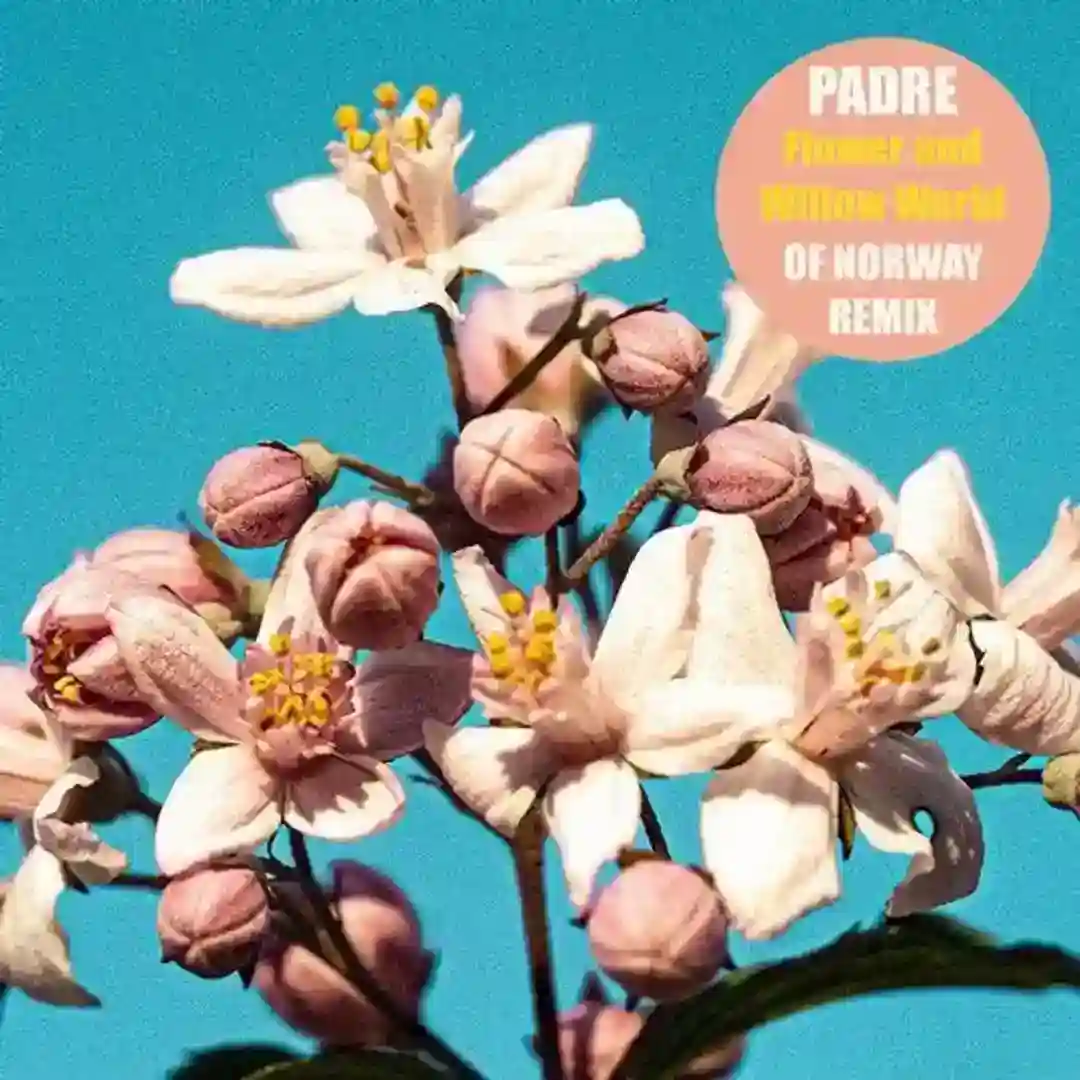Flower And Willow World (Of Norway Version) cover