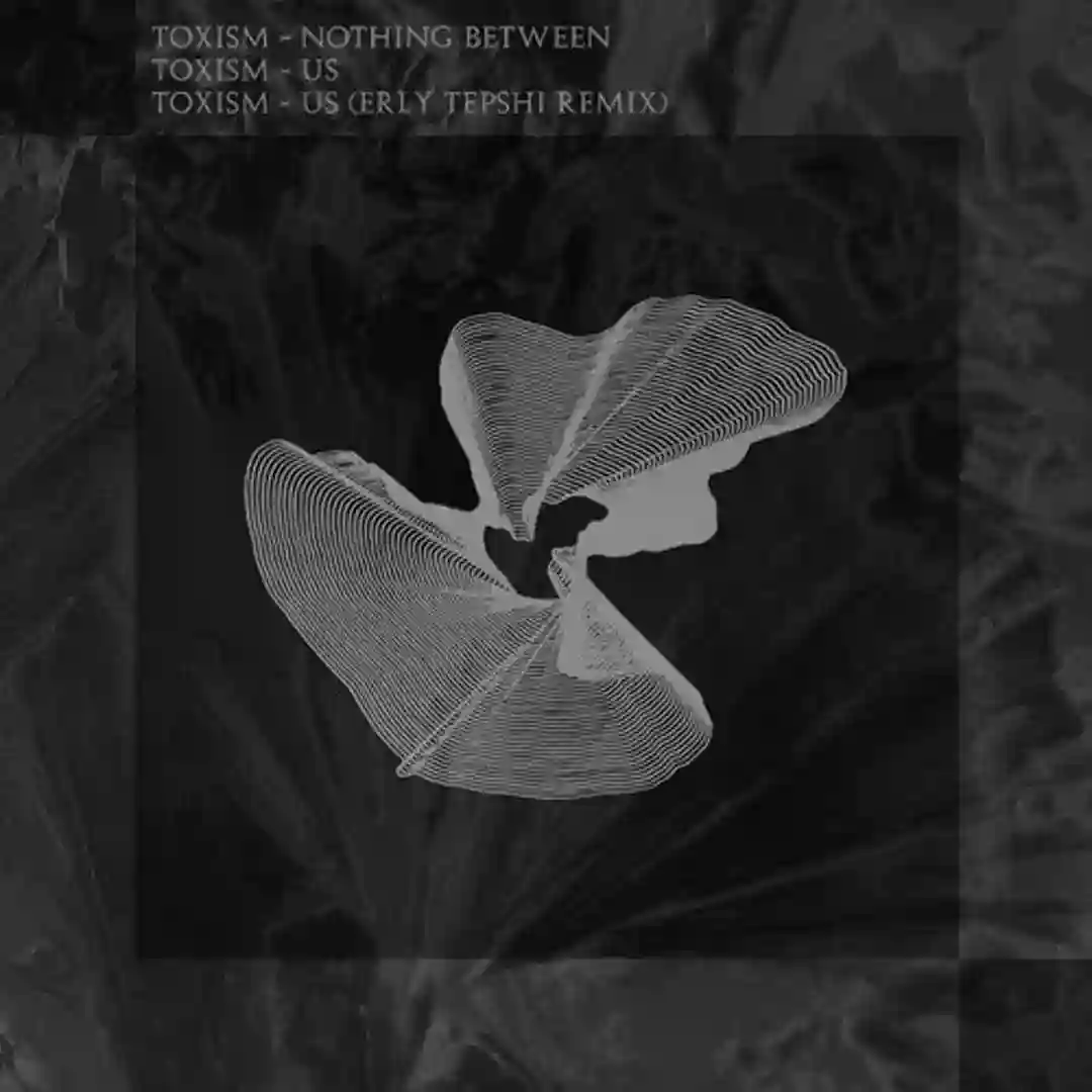 Us (Erly Tepshi Remix) cover