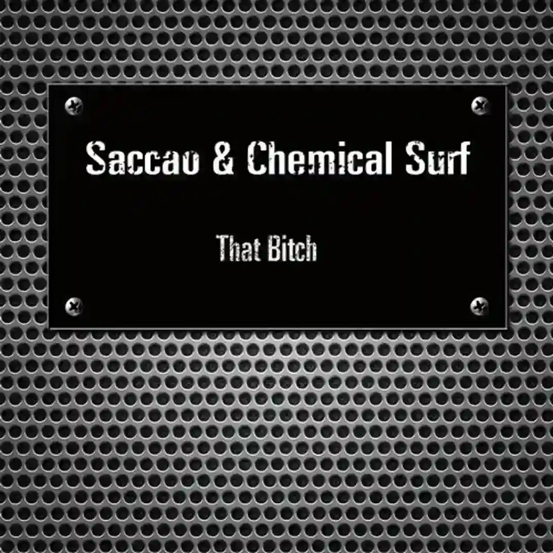 That Bitch (Rafael Cerato Remix) cover