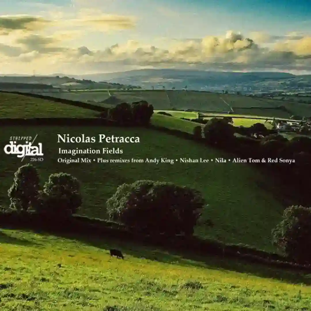 Imagination Fields (Nila Remix) cover