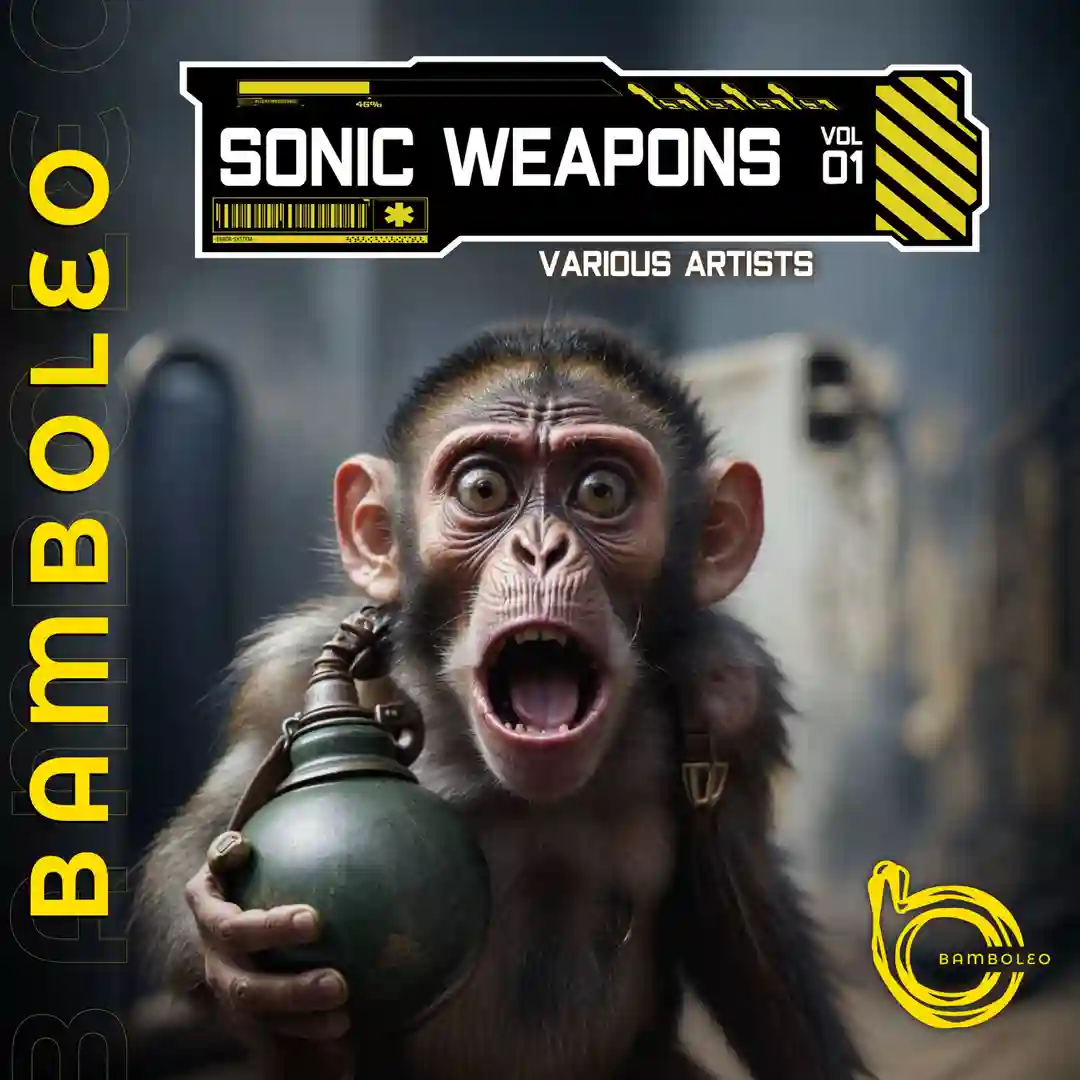 Shaolin Acid (Original Mix) cover