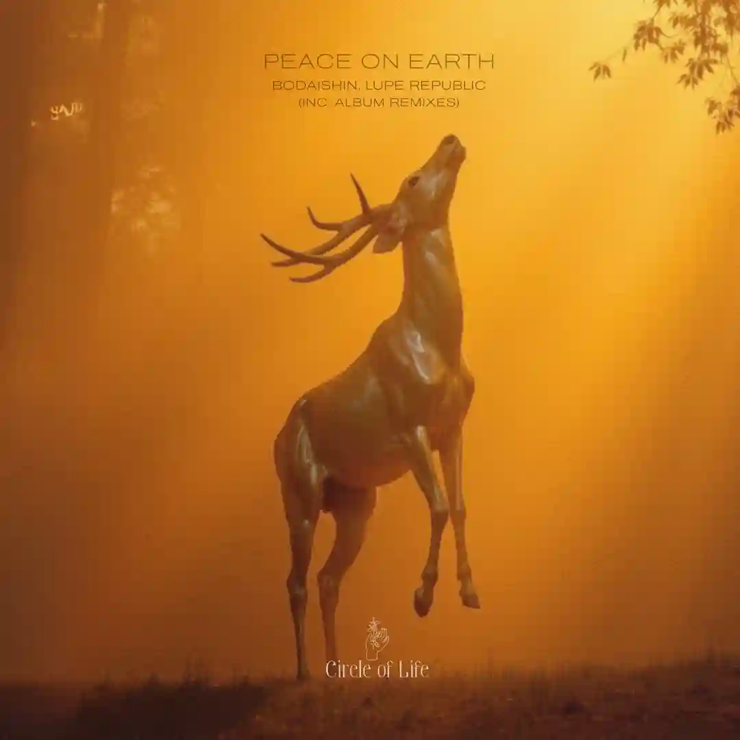 Peace on Earth (Pumbum Remix) cover