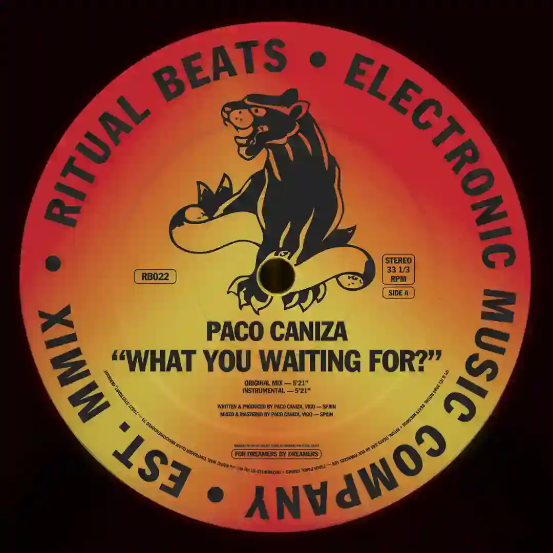 What You Waiting For? (Instrumental) cover