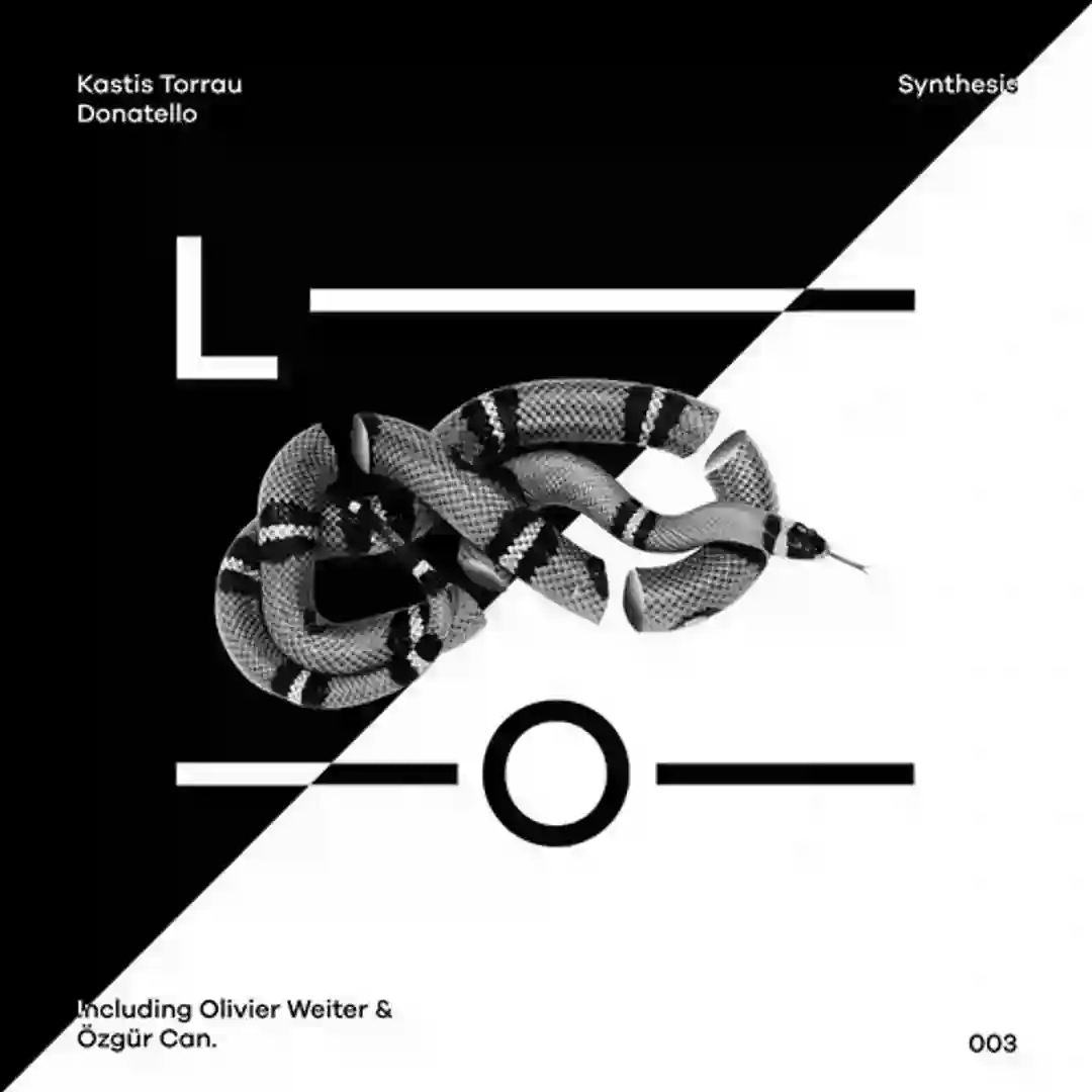 Synthesis cover