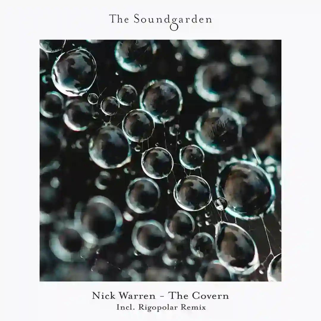 Locked In cover