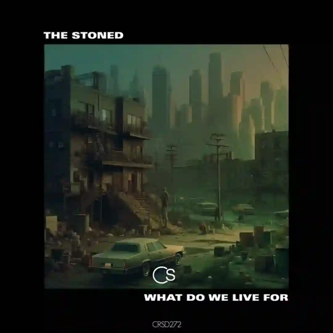 What Do We Live For (Original Mix) cover