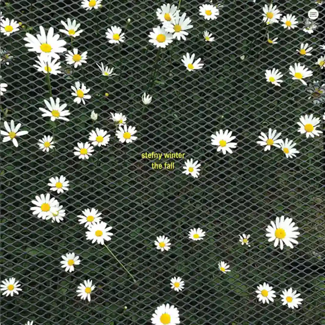 Lose It cover