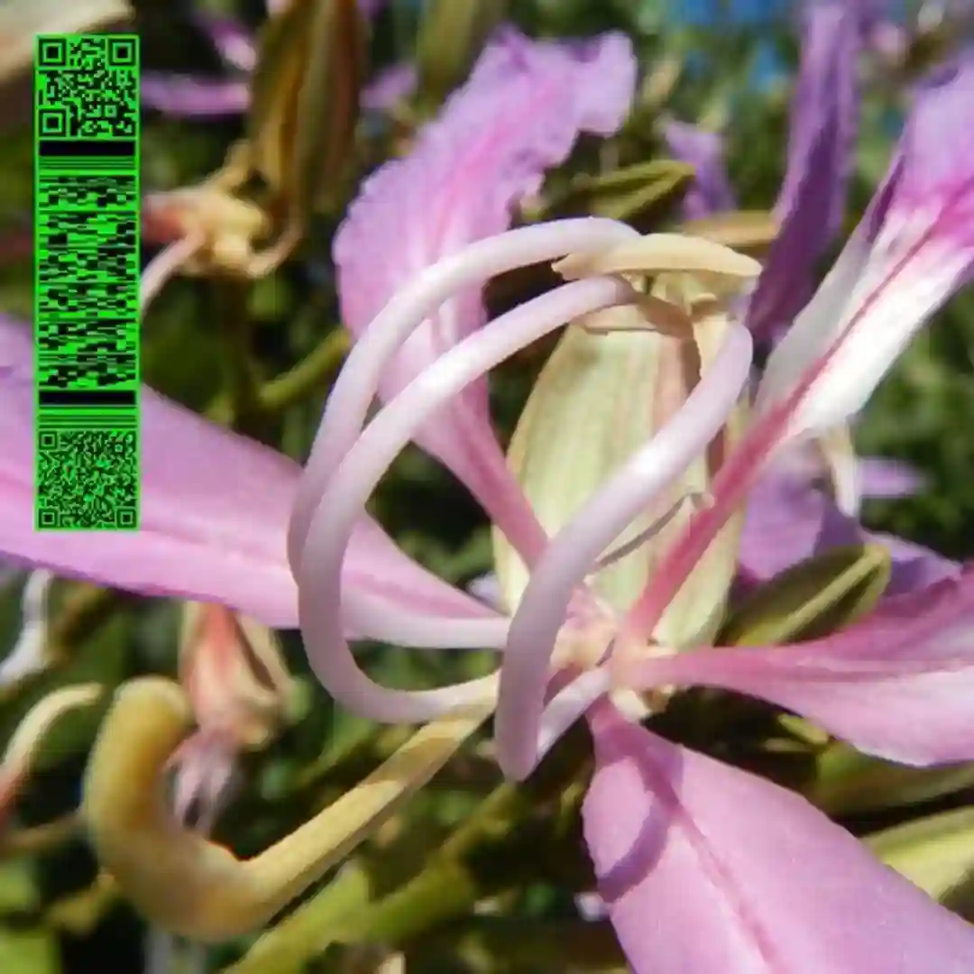 One More Fluorescent Rush (Original Mix) cover