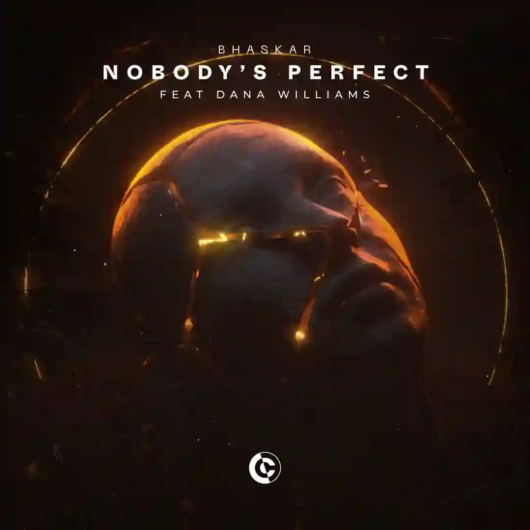 Nobody's Perfect (feat. Dana Williams) [Extended Mix] cover